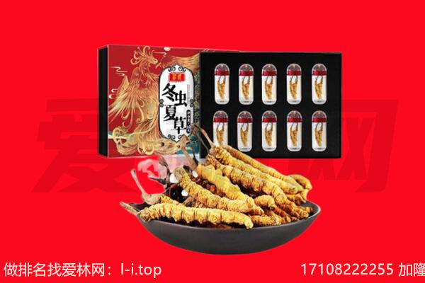 铜陵回收虫草.jpg